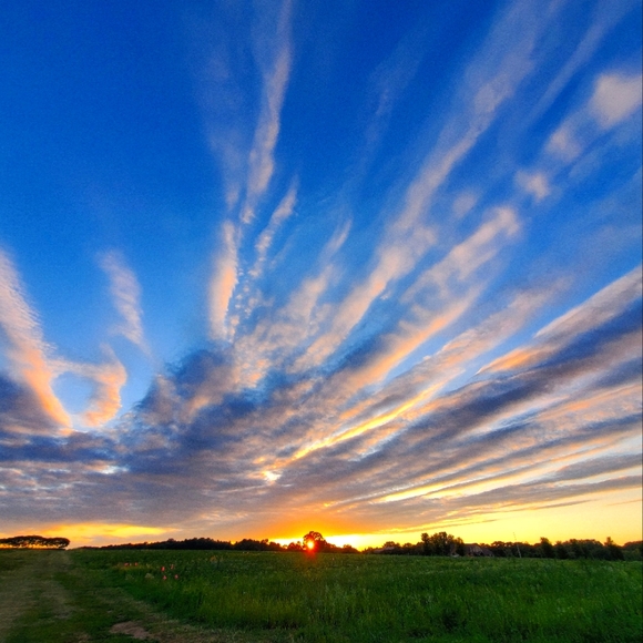 Meet your Posher, Angie - Picture 1 of 1